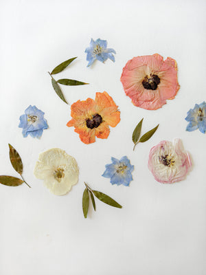 5 Creative Ways to Display Pressed Flower Art in Lincoln Park, MI