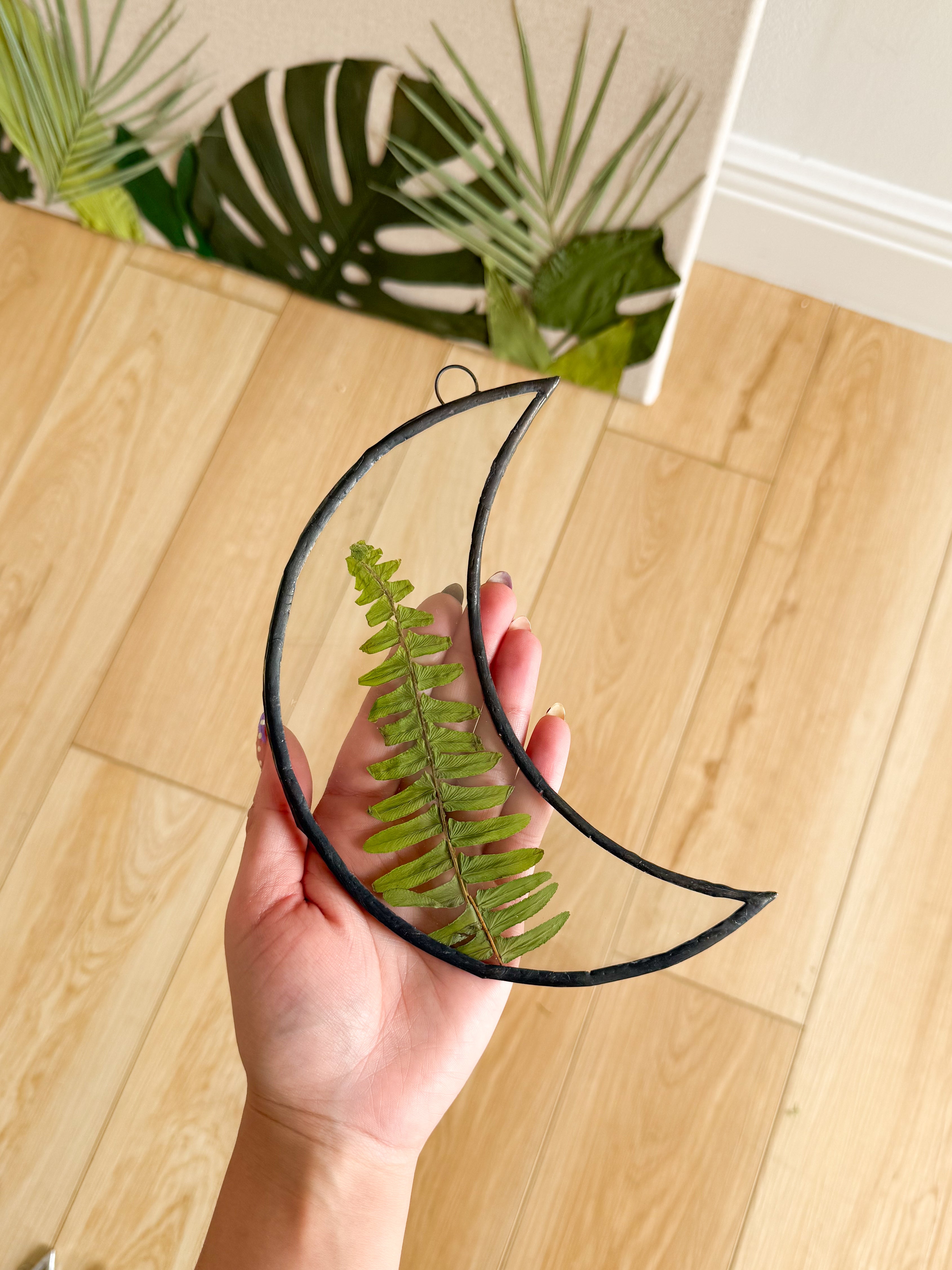 Crescent moon x fern