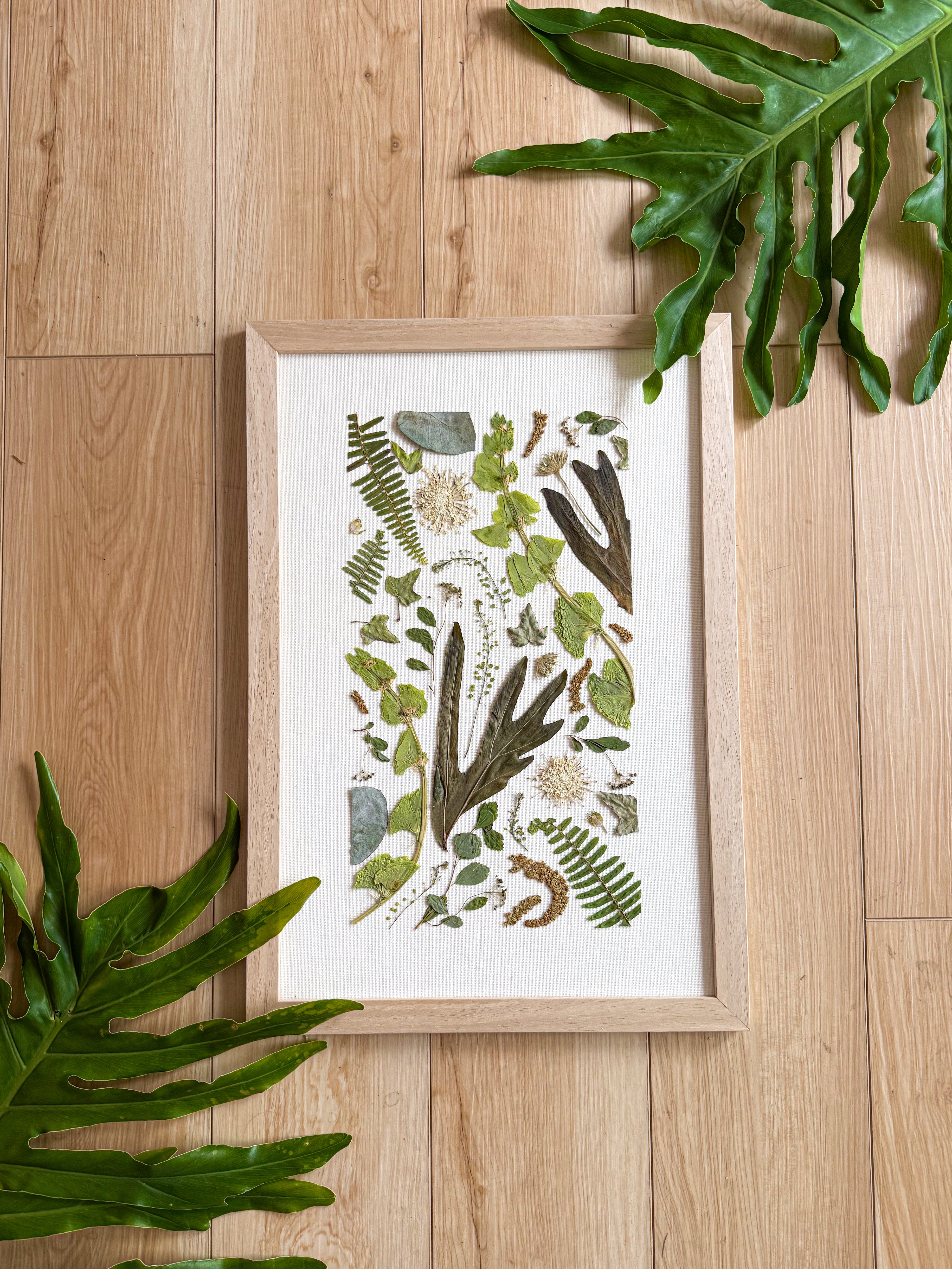 14x12 leaf specimen