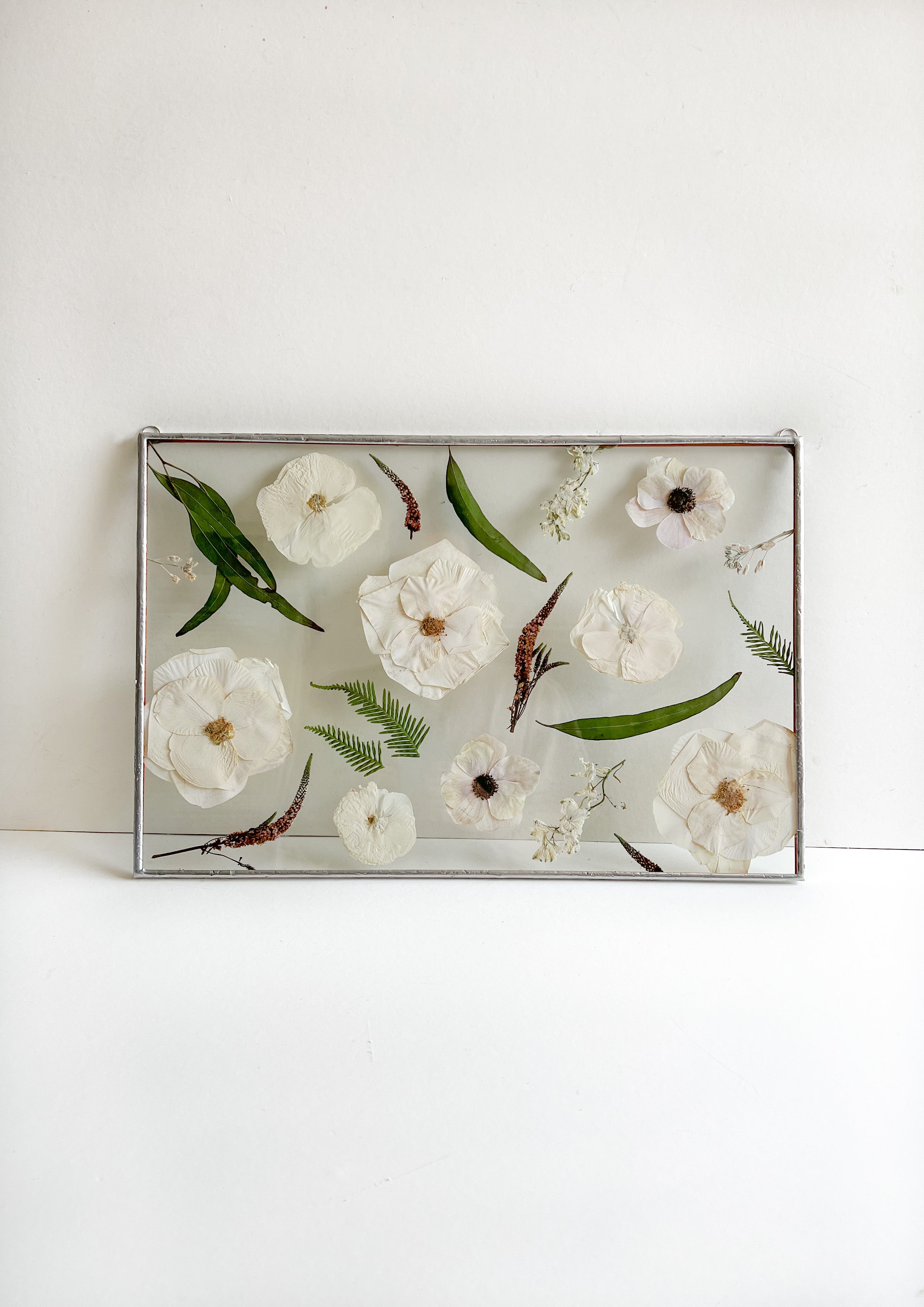 white flowers preserved in frame