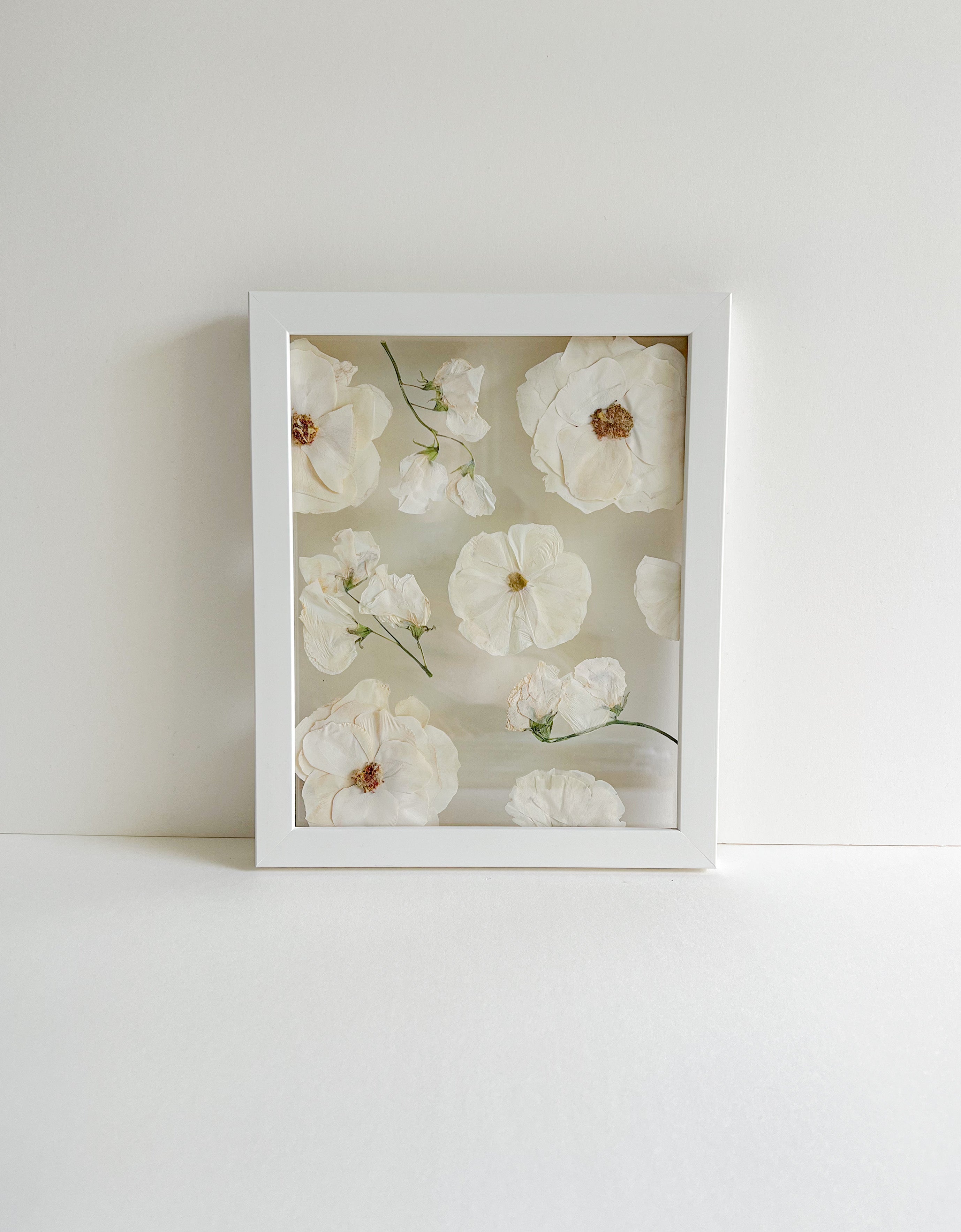 white pressed flowers