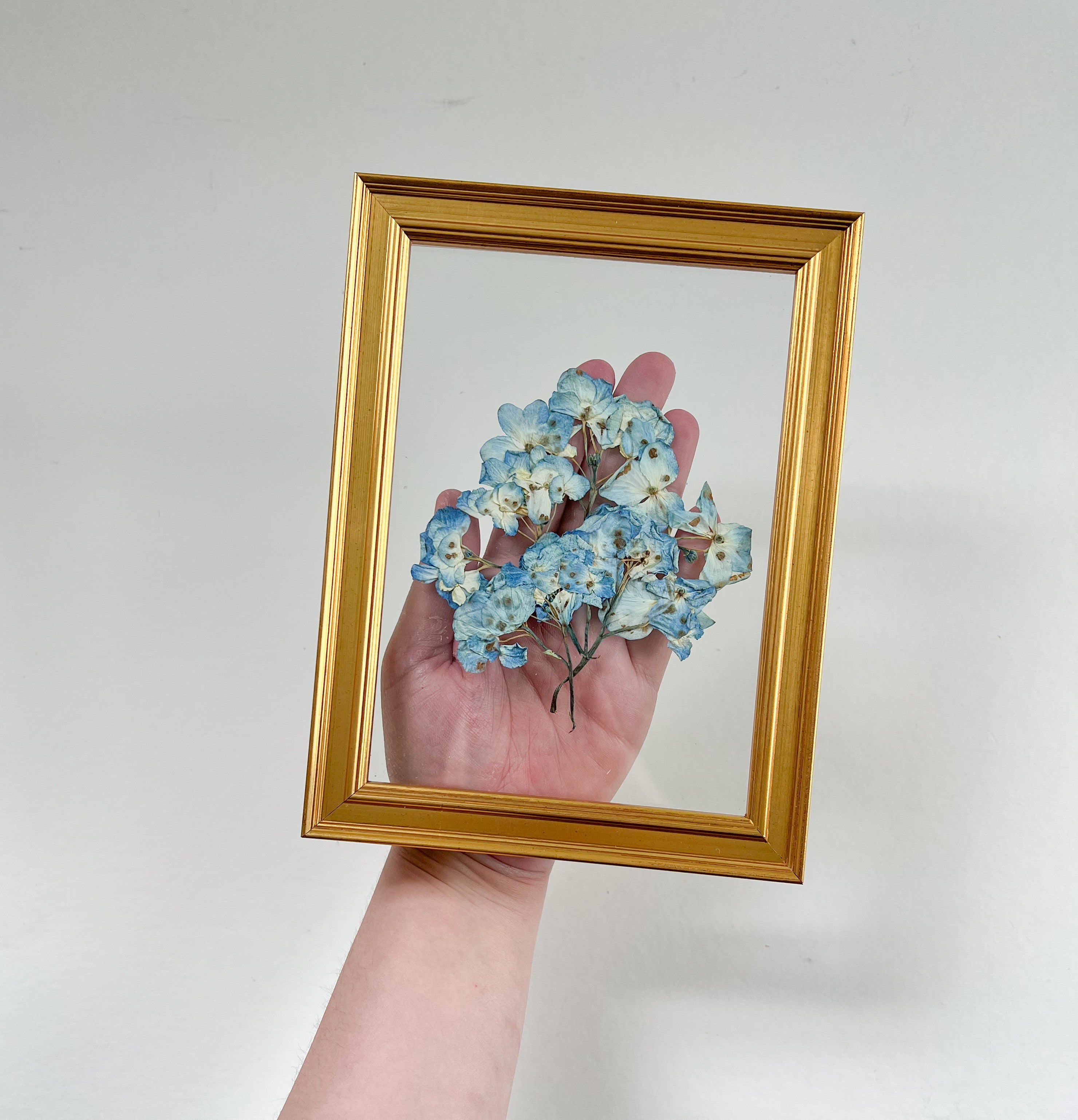 flowers pressed in golden frame