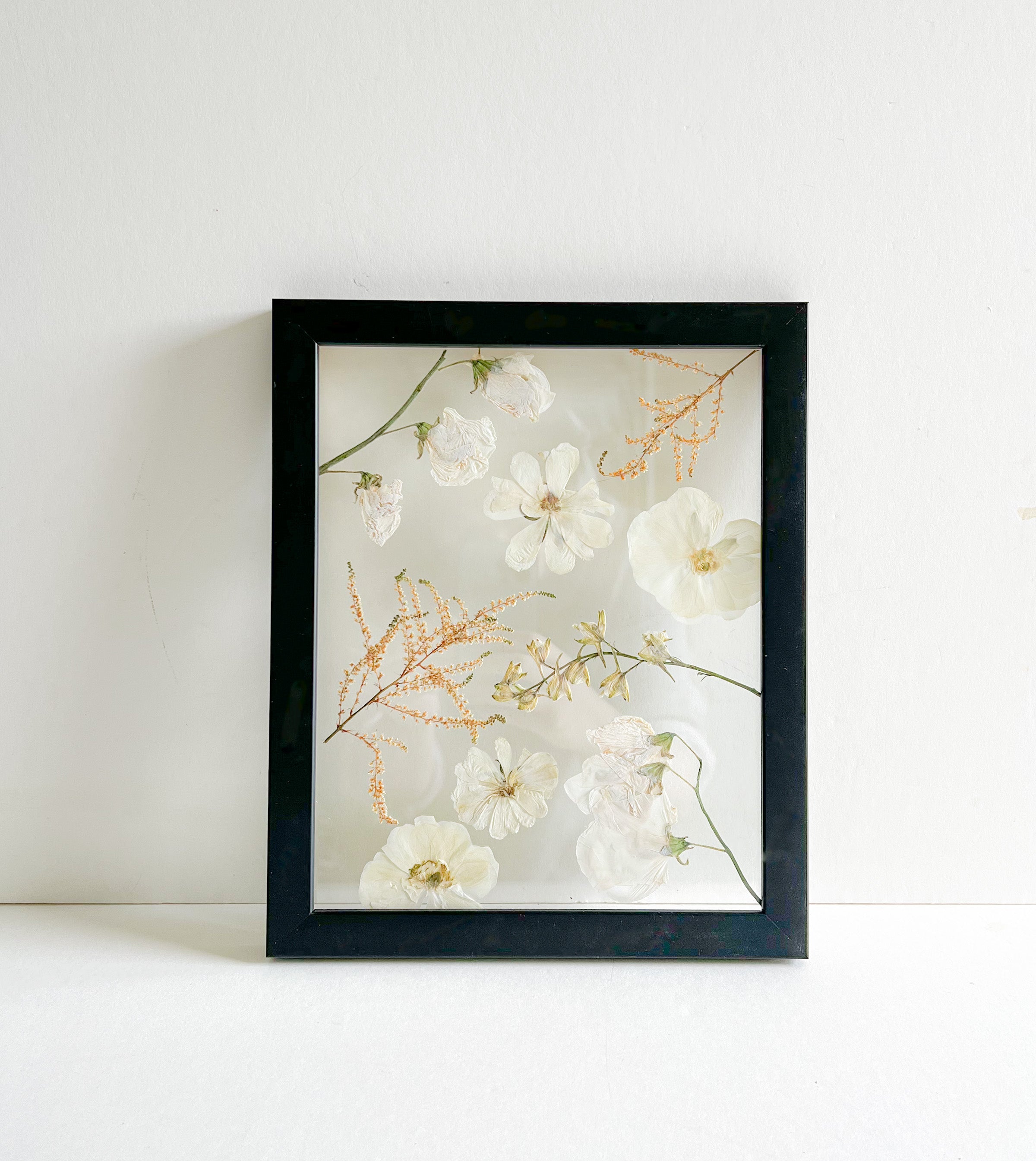 white flowers and petals preserved in frame