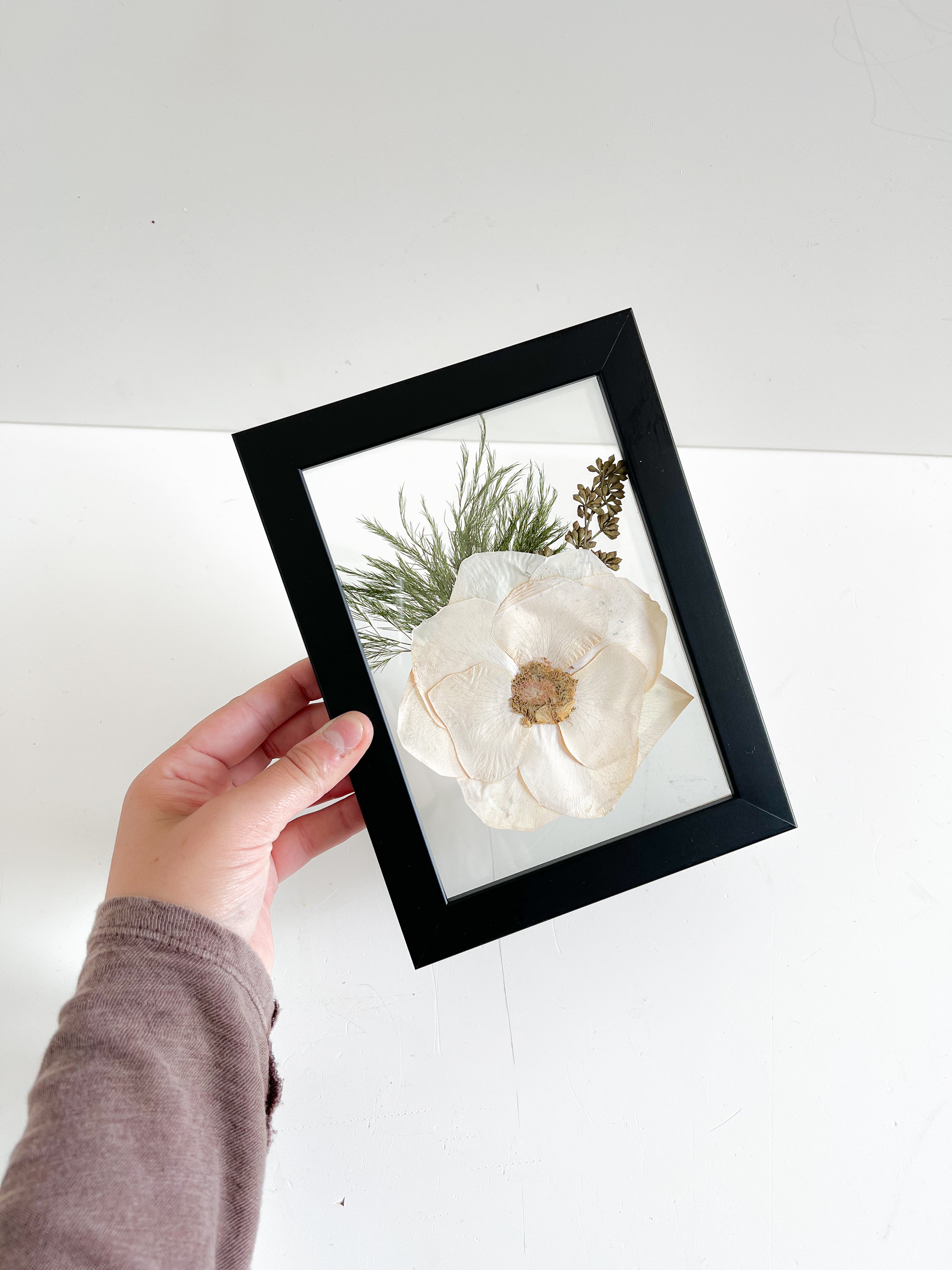 white flower preseved in frame