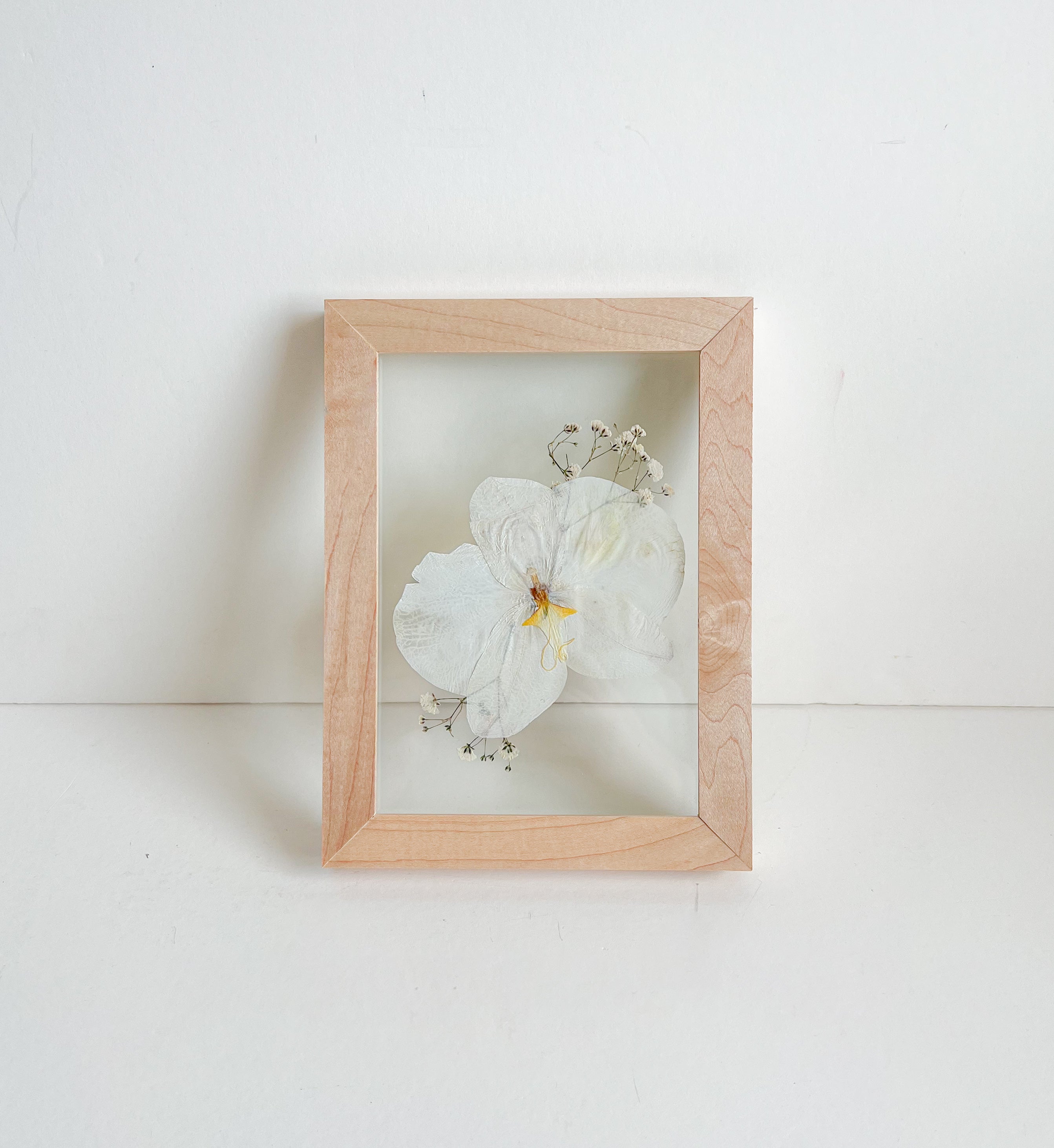 white flower preserved in frame