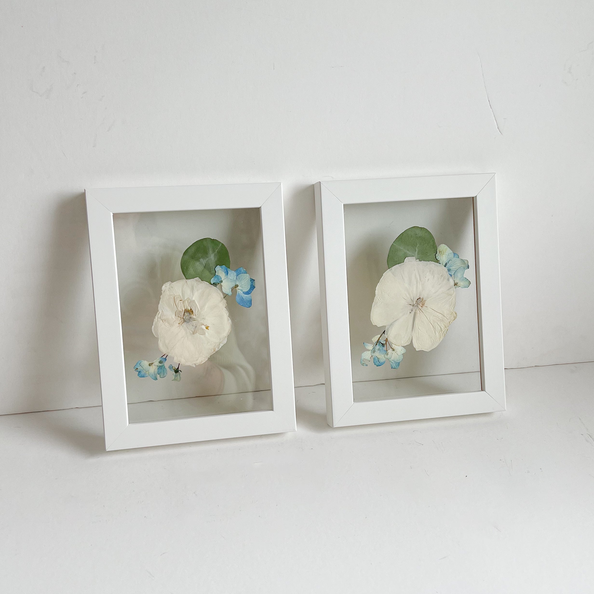 white flower preserved in two frames