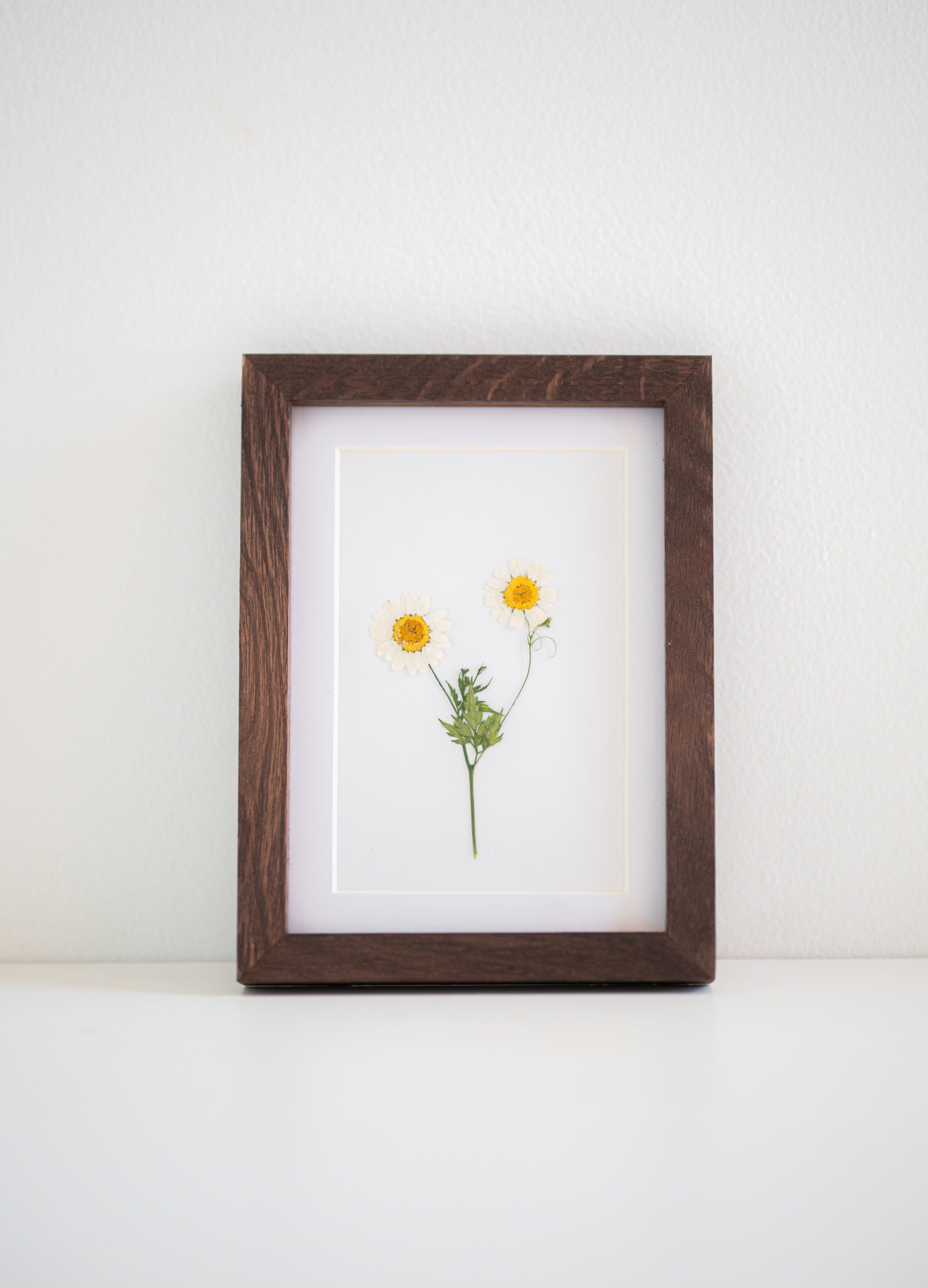yellow dry pressed flower in frame