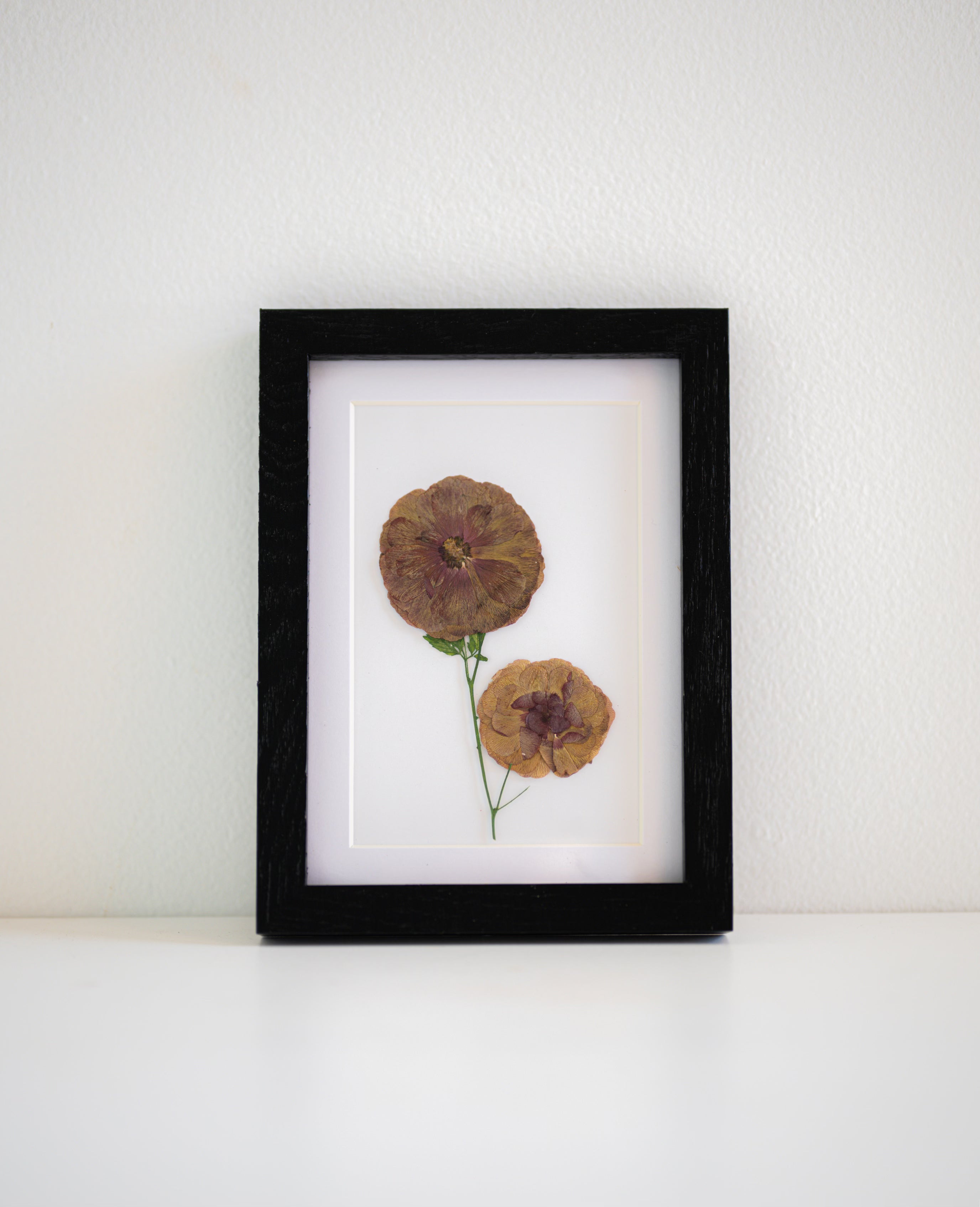 dry flowers in frame