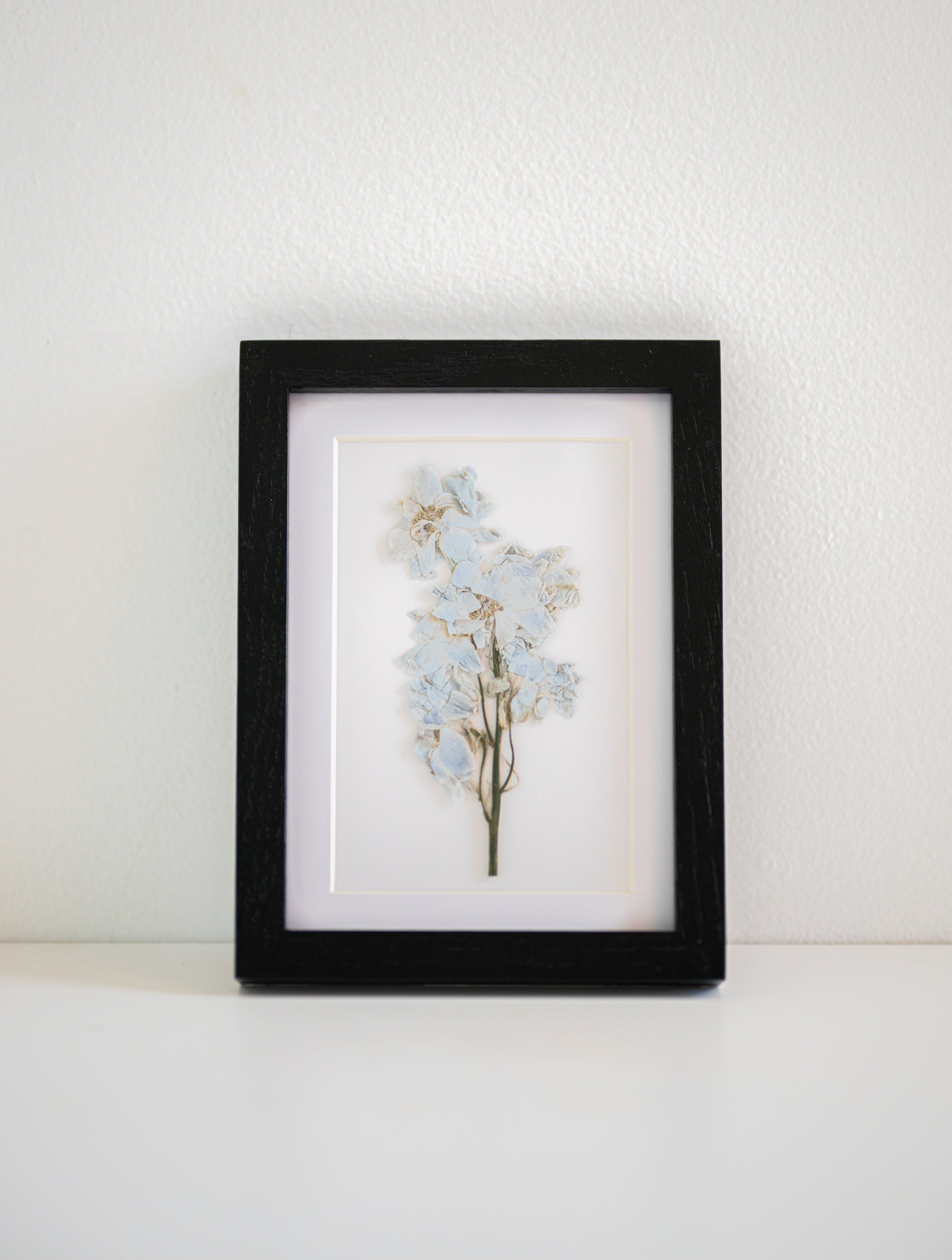 dry pressed flower in frame