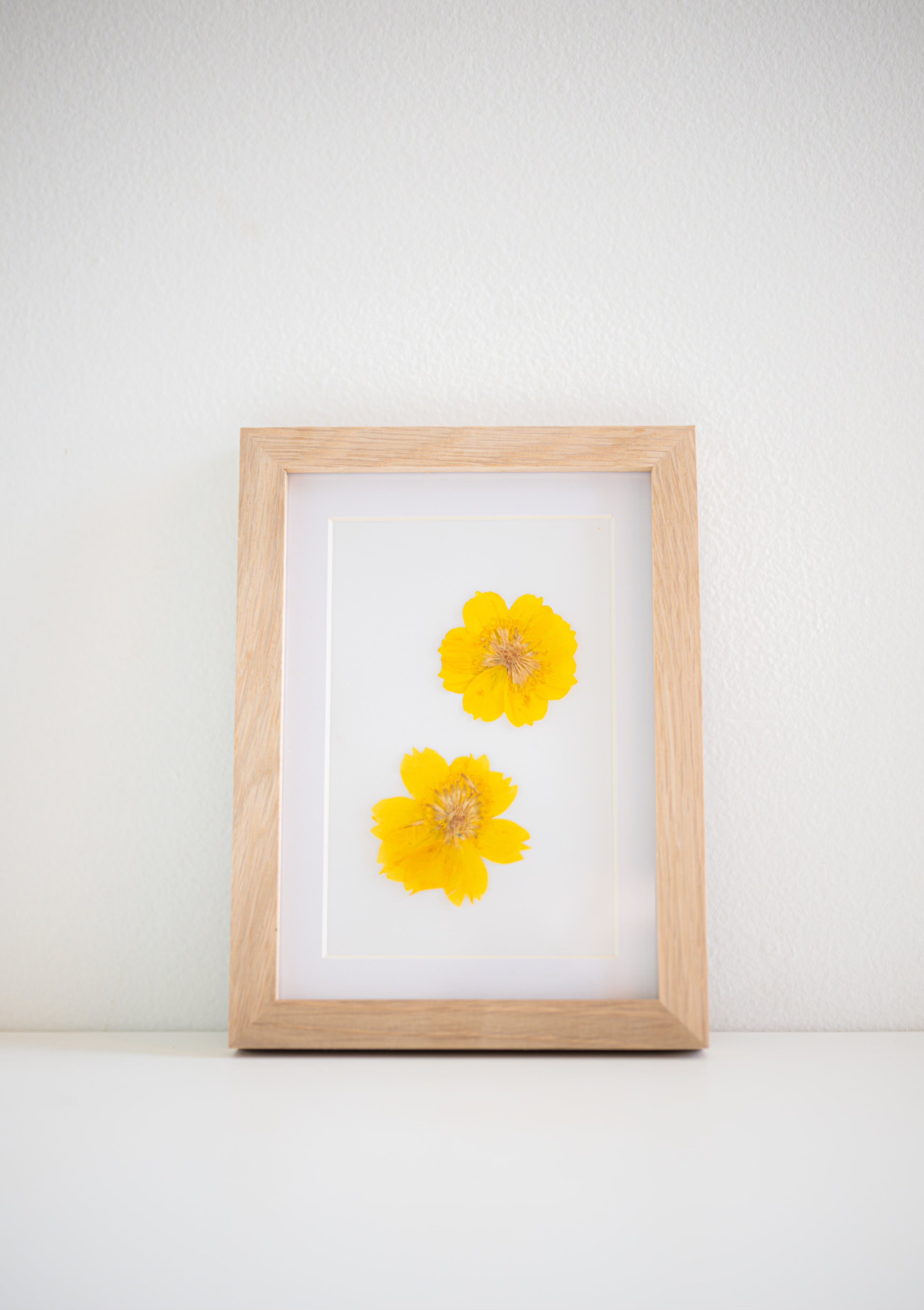 yellow pressed flower in wooden frame