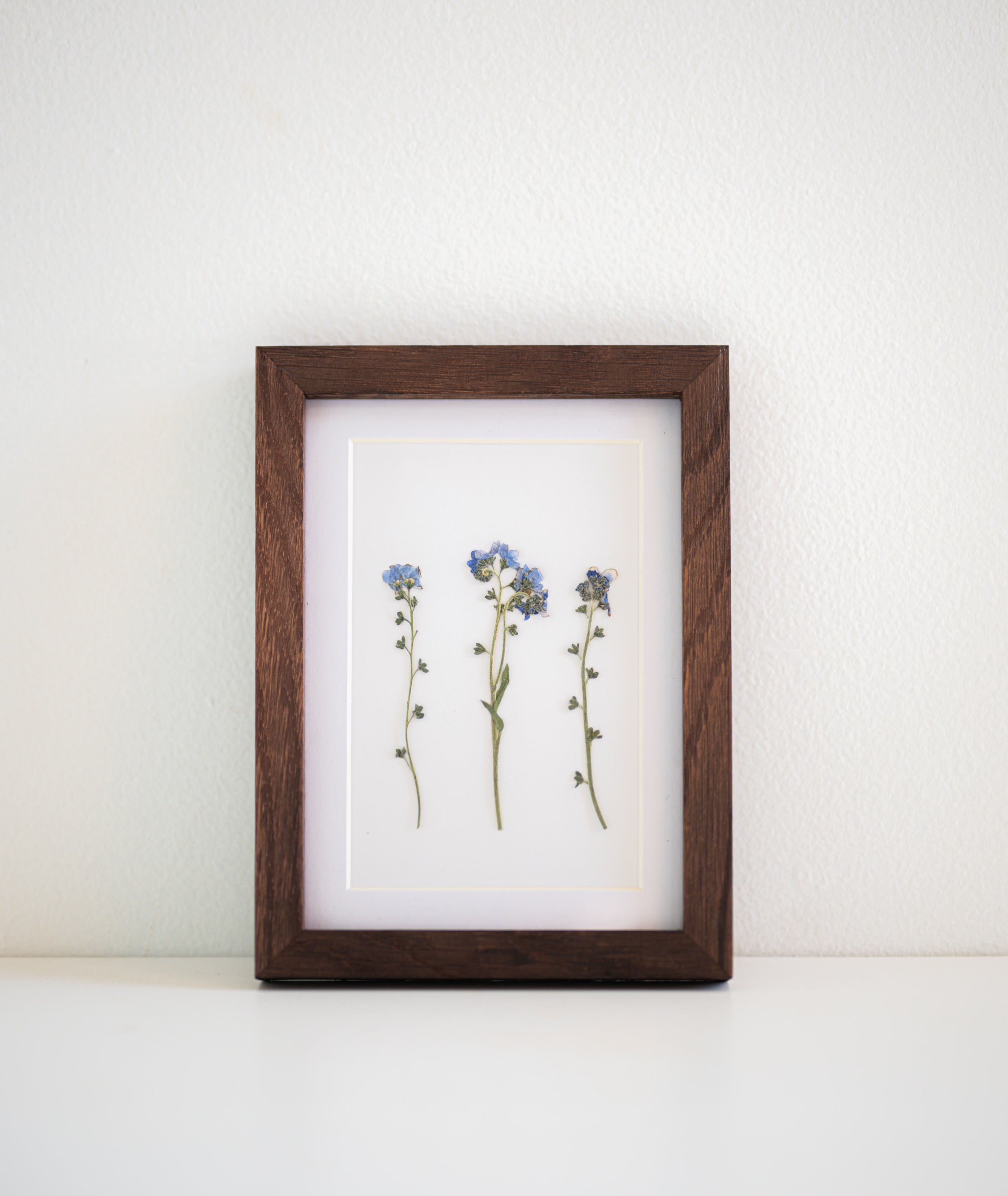dry flowers in frame